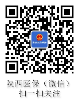 陕西医保